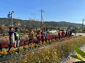 노인맞춤돌봄서비스 사회관계망프로그램 외부활동 꽃양갱,꽃식초 만들기 체험